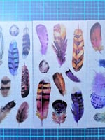 استكرات الريش