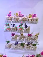 استاند للتقديمات