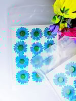 كرت ورد طبيعي مجفف سماوي