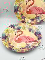 صحون ورقية فلامنجو