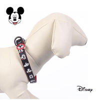 طوق القطط والكلاب -collars for cat and dog - ديزني