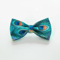 فيونكة الطاووس مع طوق وحبل