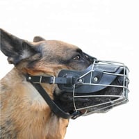 قناع فم للكلاب