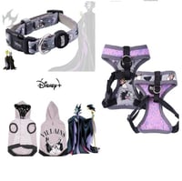 بكدج الاشرار من ديزني