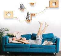 العاب القطط مجموعة اثاث قابل للتعليق للقطط 9 قطع