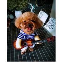 ملابس للقطط - كوستوم الجيتار