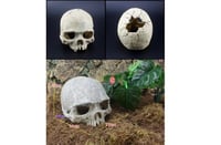 جمجمة إكسسوارات حوض السمك