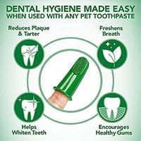 فيتس بيست طقم العناية بالأسنان للجراء