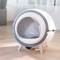 صندوق الرمل الاوتوماتيكي من كات نايت