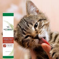 فيتس بيست جل للعناية بالمسالك البولية للقطط 100g