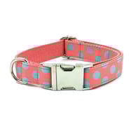 فيونكة منقطة مع طوق وحبل