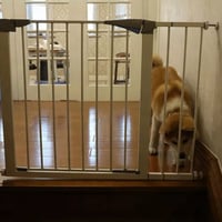 حاجز سلامة بدون مسامير