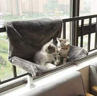 كرسي معلق للقطط