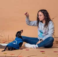 بكدج ليلو وستيتش من ديزني