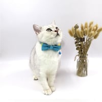 طوق مع فيونكة