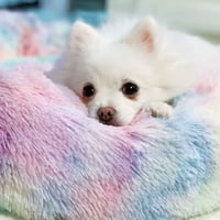 وسادة لقطط والكلاب cat bed منفوشة دائرية