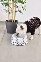 صحن طعام للقطط والكلاب -صحن بيتي بوب من داشي