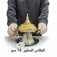 تمرية استيل لونين