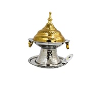 تمرية استيل لونين