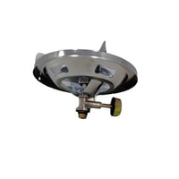 راس دافور إيطالي كبير