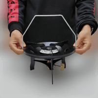 رأس دافور كبير