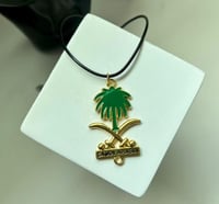 SAUDI ARABIA سيفين و نخله