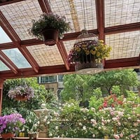 سياج الخيزران الطبيعي