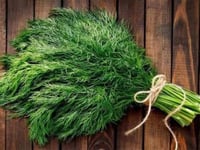 بذور شبت مصري