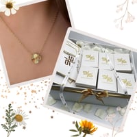 بوكس توزيعه 6 سلاسل