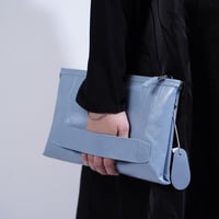 باوتش بهيرة لامع