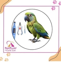 قص أظافر و برد منقار و قص جناح بغبغاء
