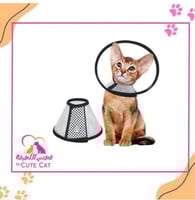 طوق حماية للقطط (طوق إليزابيثي) مقاس 7