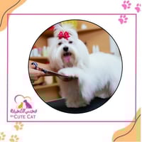 قص أظافر كلاب