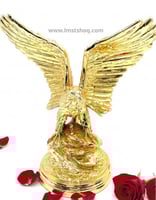 صقر ذهبي كبير