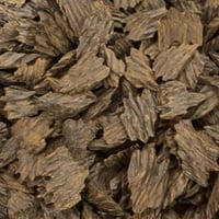 كلمنتان مجالس