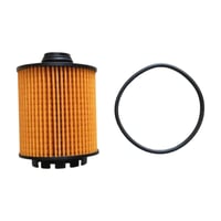 فلتر زيت جريت وول باور مديل 2025 الشكل الجديد