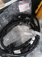 مجموعه ظفيرة الحساسات الخلفية