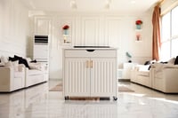 عربة متنقلة كهربائية 2