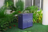 عربة متنقلة كهربائية 3