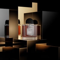 دير مون (Dear Moon)