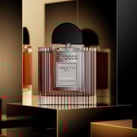 دير مون (Dear Moon)