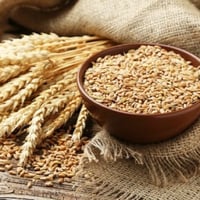 حبوب البر 1كيلو