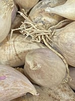 ثوم ذكر علبة 200 جم