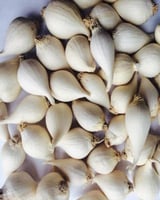 ثوم ذكر علبة 200 جم