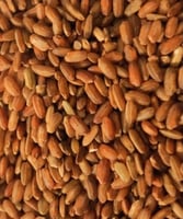 رز حساوي 5 كيلو