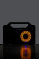 راديو ذكي متنقل مايكروديجيت موديل MRS009T