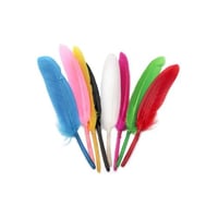 ريش ملون - 12 سم - 20 حبة - بوكي