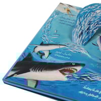 مجموعة 4 كتب مملكة الحيوان (قصص ثلاثية الأبعاد)