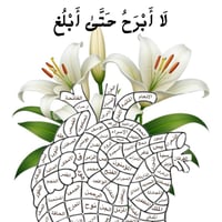 قلب الحفظ