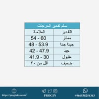 ملف تحليل نتائج الإختبار من 60 درجة (Excel)